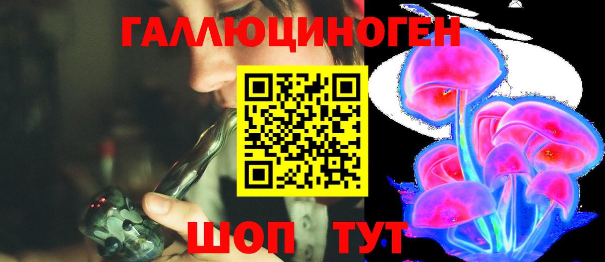 Ангарск  Псилоцибиновые грибы Magic Shrooms  Вход с VPN 